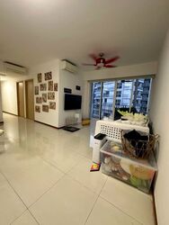 Forestville (D25), Condominium #589615031